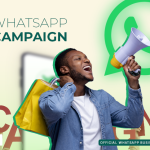whatsapp-campaign.