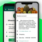 1 Set Up WhatsApp Business Like a Pro