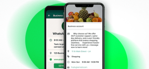1 Set Up WhatsApp Business Like a Pro